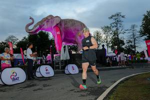 BIB: 
                            <button type="button" onclick="openModal(26529482)" class="btn btn-primary btn-sm float-right btn-popup" data-toggle="modal" data-target=".modal-high-quality">
                        <i class="fas fa-shopping-cart"></i> Add to Cart
                    </button>
                                            <button type="button" onclick="isThisMe(26529482, true)" class="btn btn-success btn-sm float-right btn-popup btn-isme hidden" data-toggle="tooltip" data-placement="bottom" title="นี่คือรูปของคุณใช่ไหม คลิกที่นี่เพื่อเอาเข้าอัลบั้ม">
                        <i class="fas fa-plus"></i> Add to album
                    </button>
                    <button type="button" onclick="isThisMe(26529482, false)" class="btn btn-warning btn-sm float-right btn-popup btn-isnotme hidden">
                        <i class="fas fa-ban"></i> Remove from album
                    </button>